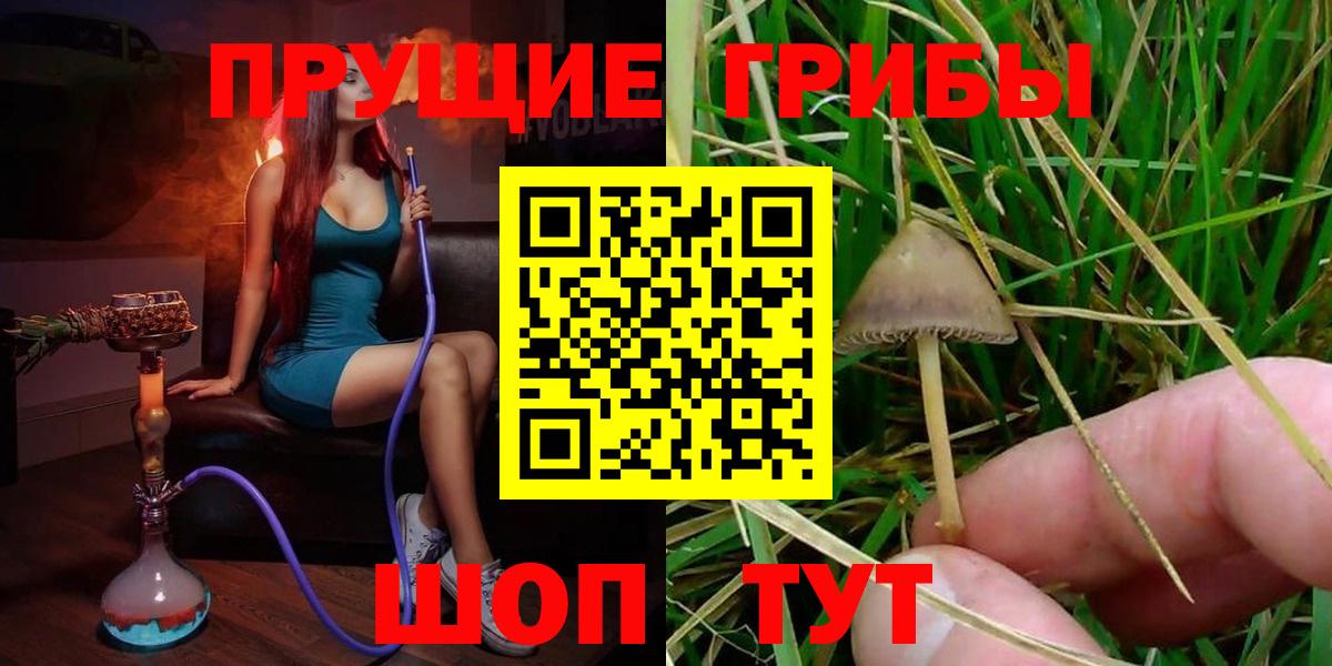 Псилоцибиновые грибы MAGIC MUSHROOMS Благодарный