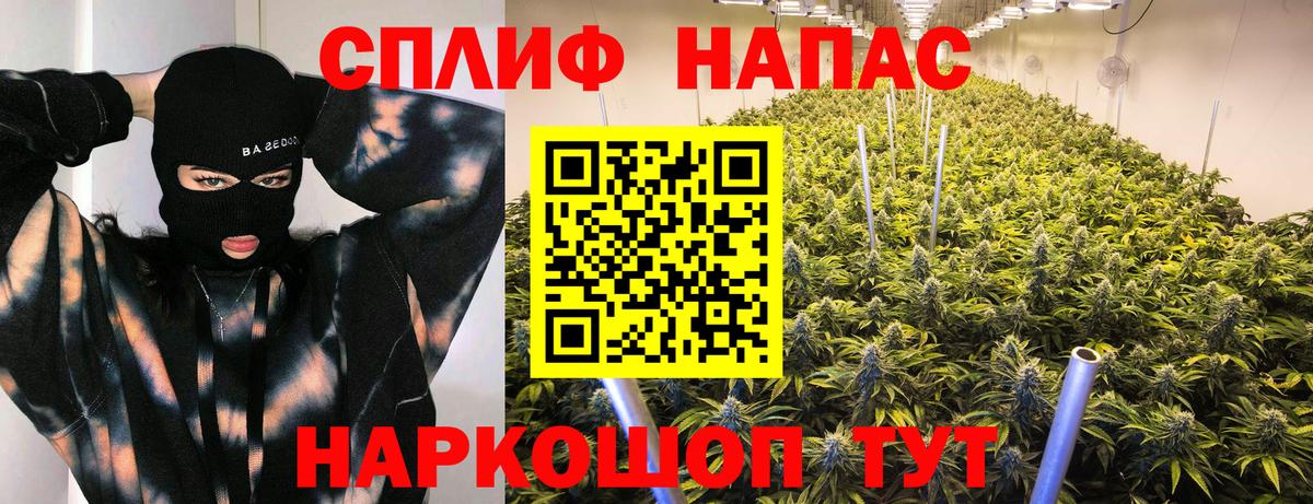 Канабис AK-47 Благодарный